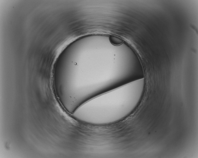 X0000101681379200807101134