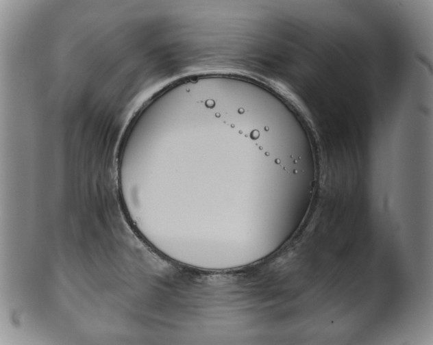 X0000101681380200807101134
