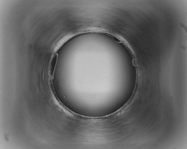 X0000101681381200807101134