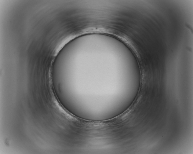 X0000101681382200807101134