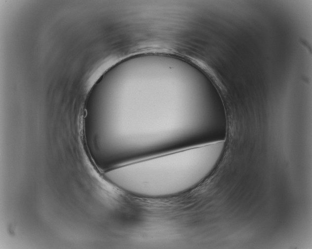 X0000101681383200807101134
