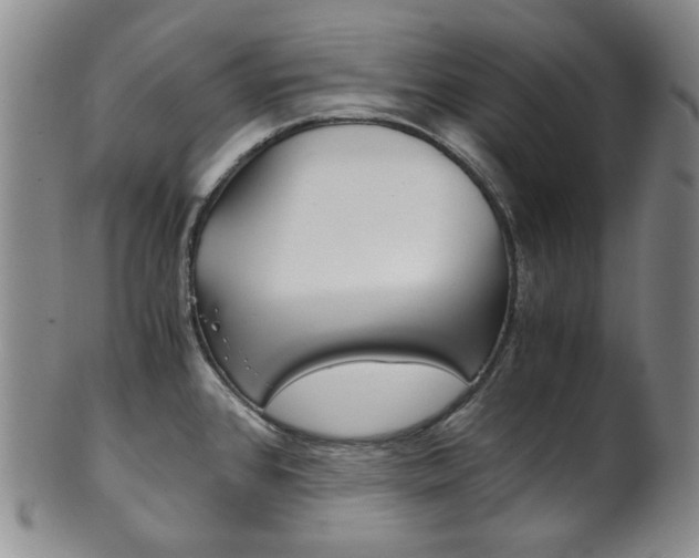 X0000101681384200807101134