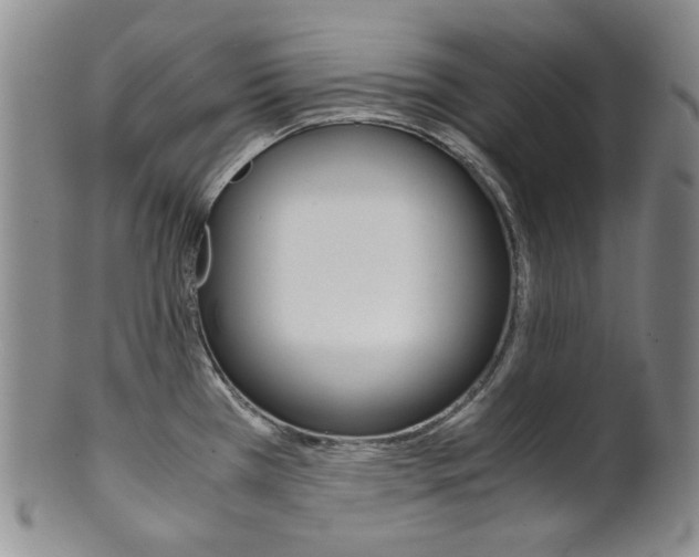 X0000101681385200807101134