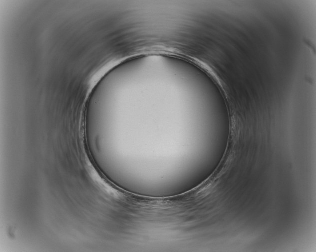 X0000101681387200807101133