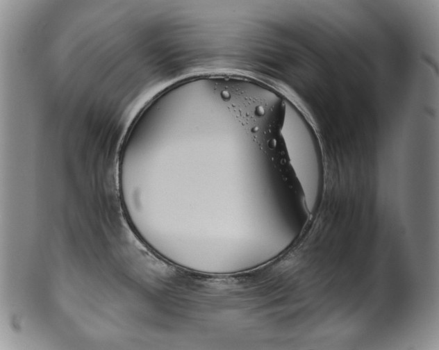 X0000101681388200807101133