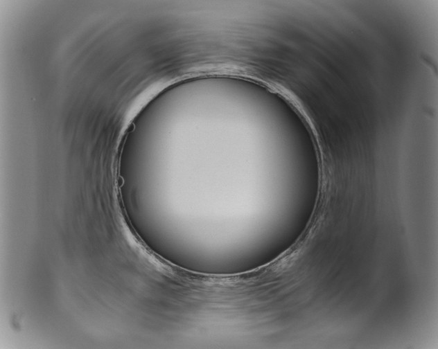 X0000101681389200807101133