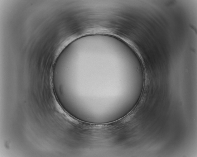 X0000101681390200807101133