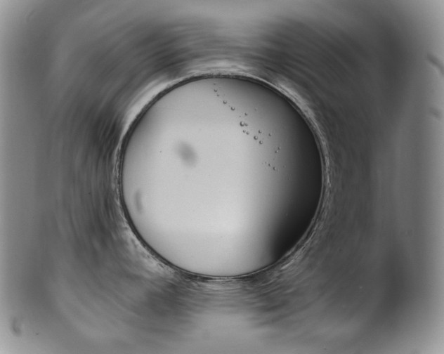 X0000101681392200807101133