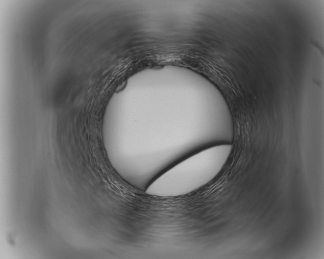 X0000101681393200807101133