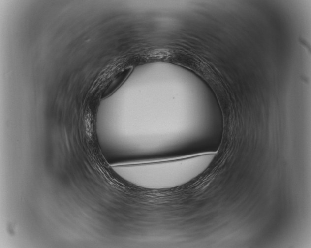 X0000101681394200807101133