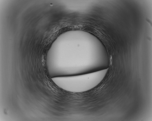 X0000101681395200807101133