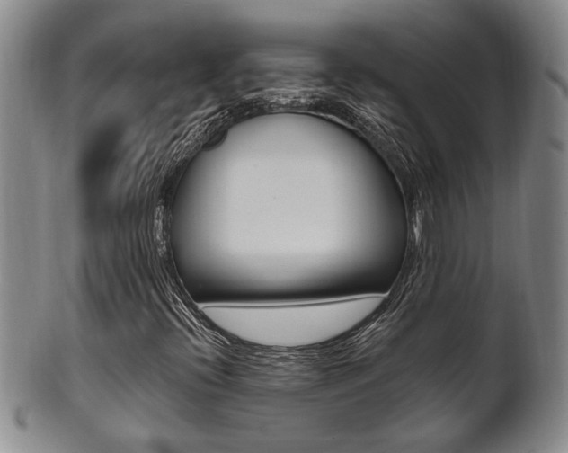 X0000101681396200807101133