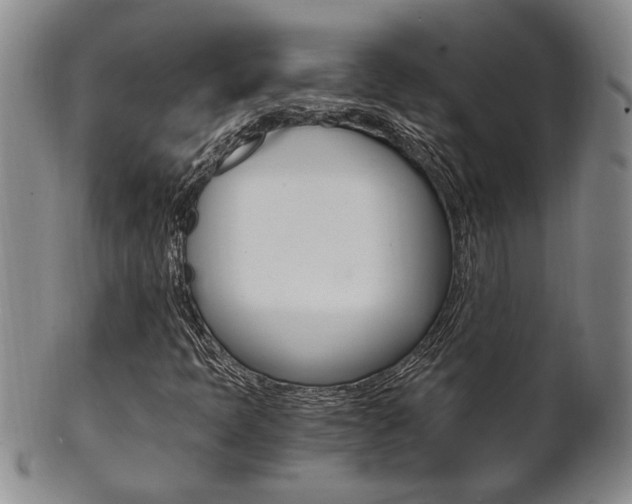 X0000101681397200807101133