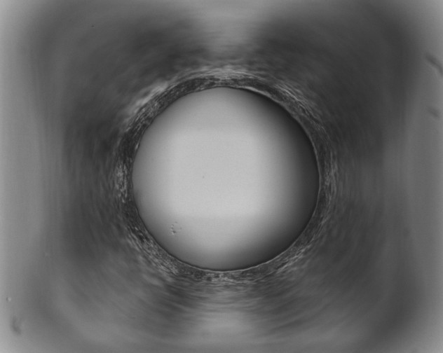 X0000101681398200807101133