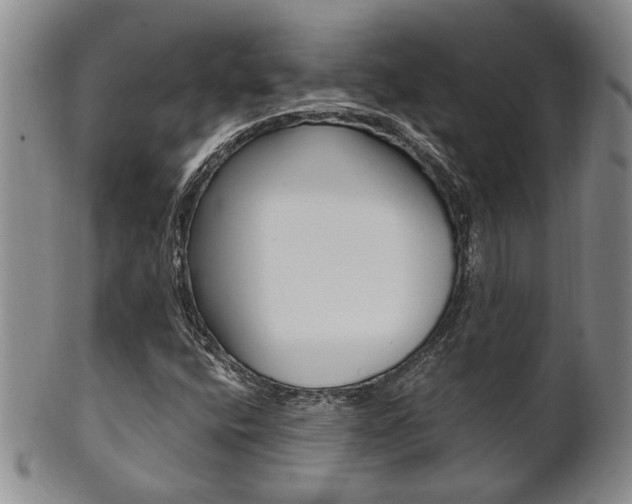 X0000101681400200807101133