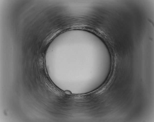 X0000101681401200807101133