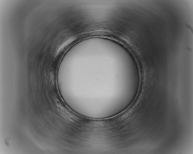 X0000101681402200807101133