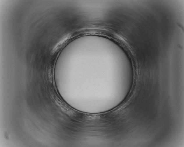 X0000101681403200807101133