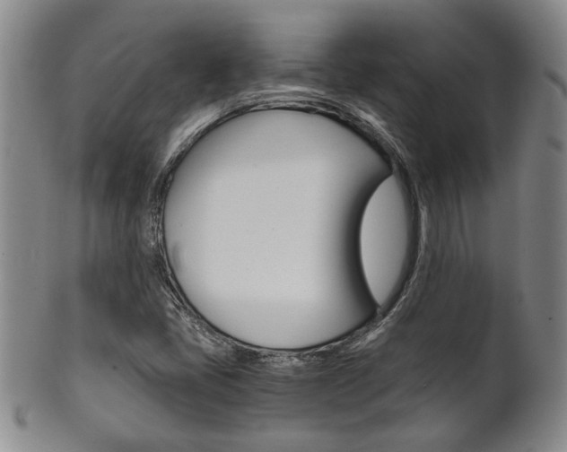 X0000101681405200807101133
