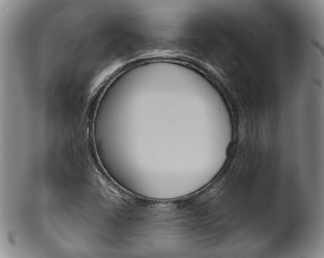 X0000101681406200807101133