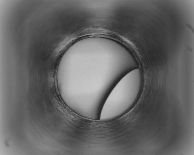 X0000101681407200807101133