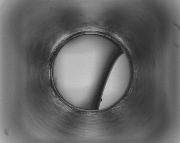X0000101681408200807101133