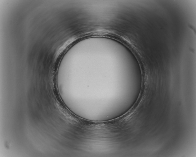 X0000101681410200807101133