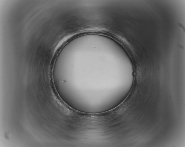 X0000101681412200807101133