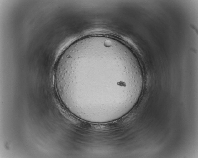 X0000101681413200807101133