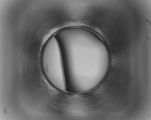 X0000101681414200807101133