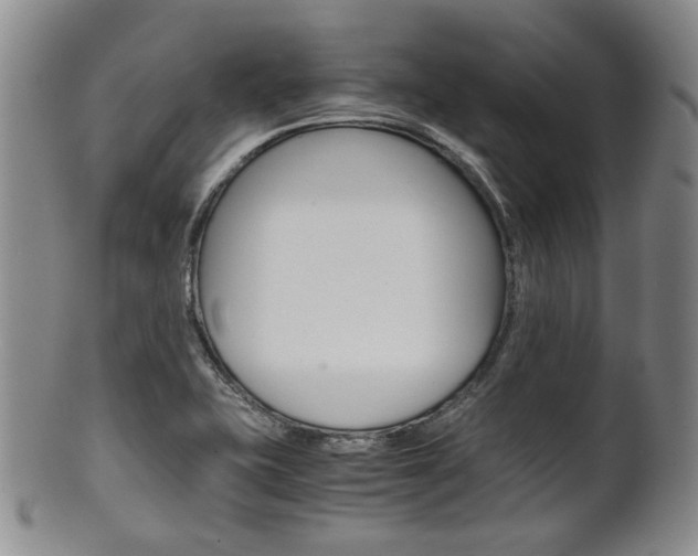 X0000101681415200807101133