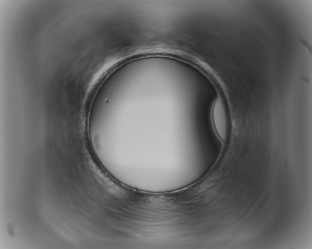 X0000101681416200807101133