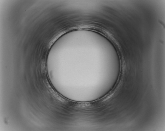 X0000101681417200807101133