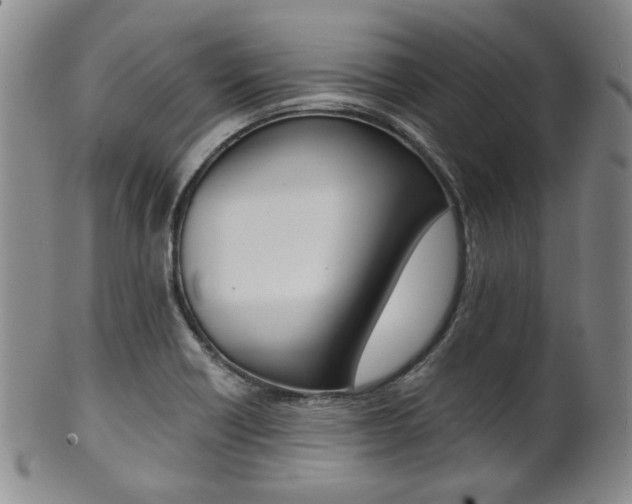 X0000101681418200807101133