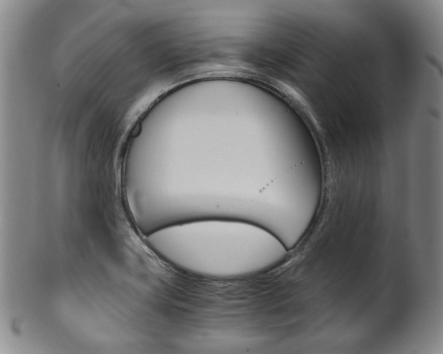 X0000101681419200807101133