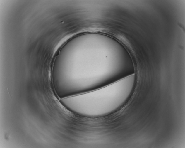X0000101681420200807101133