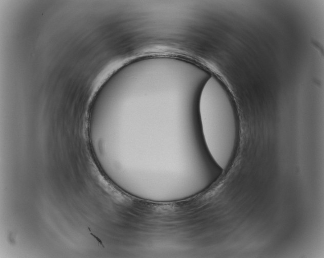X0000101681421200807101133