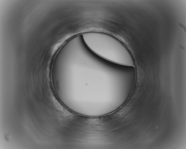 X0000101681422200807101133