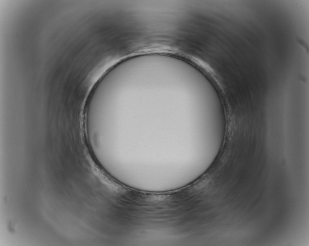 X0000101681423200807101133