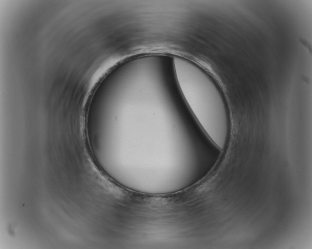 X0000101681424200807101133
