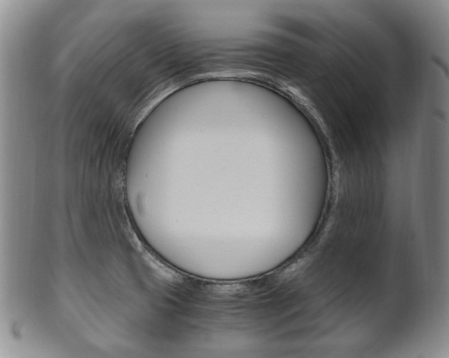 X0000101681425200807101133