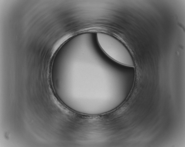 X0000101681426200807101133