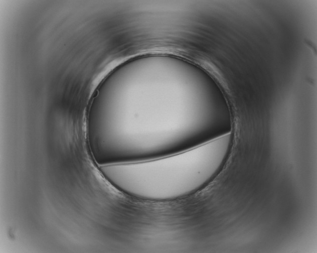 X0000101681428200807101133
