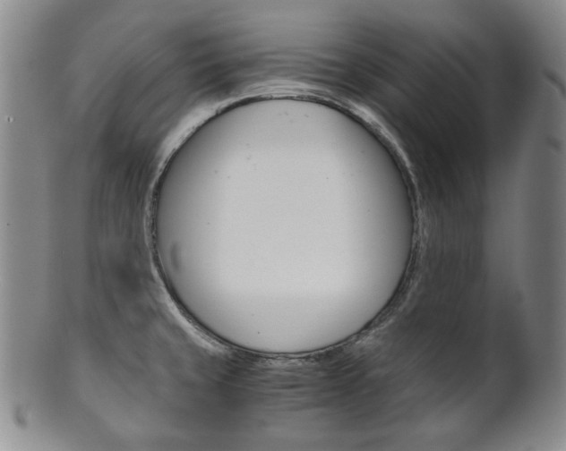 X0000101681429200807101133