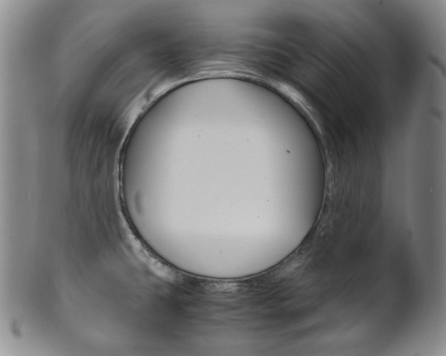 X0000101681431200807101133