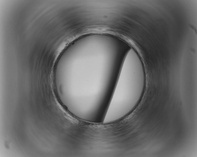 X0000101681432200807101133