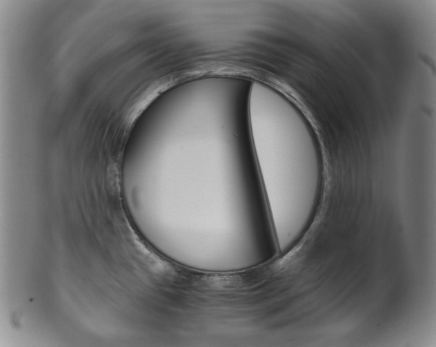 X0000101681433200807101133