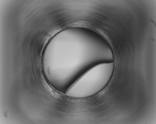 X0000101681434200807101133