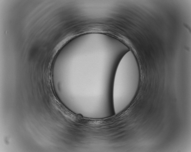 X0000101681435200807101133