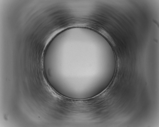 X0000101681436200807101133